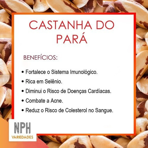Castanha Do Pará Natural - 1kg - Brasil Frutt