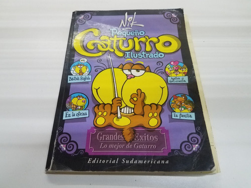 Libro Pequeño Gaturro Ilustrado - Nik - Con Detalles