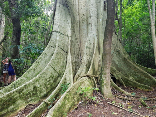 Imagem 16 de 20 de Chácara À Venda Em Colinas Do Atibaia - Ch003759