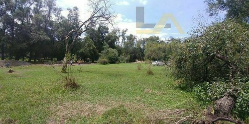 Imagen 8 de 11 de Terreno En Venta En Amaxac Tlaxcala.