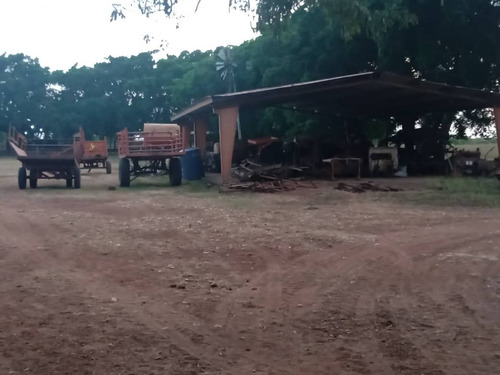 Imagen 9 de 11 de Venta De Espectacular Hato En Calabozo Estado Guárico