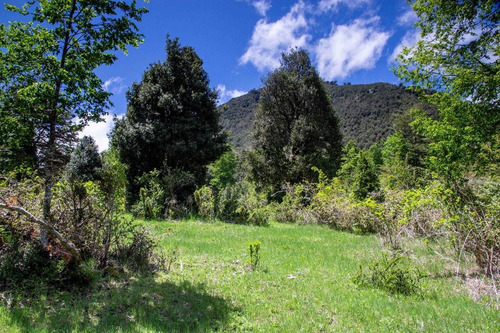 1 Hectárea Con Río Y Bosque | Tinquilco - Huerquehue - Pucón