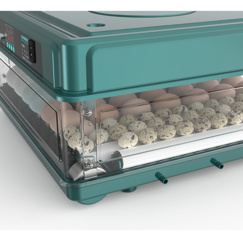 Chocadeira Para Ovos Incubadora Automática Ovoscópio 48 Ovos
