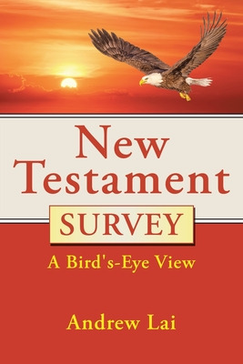 Libro New Testament Survey: A Bird's-eye View - Lai, Andrew