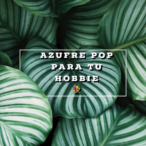 Fertilizante Azufre Pop 1 Lt. Atomizador