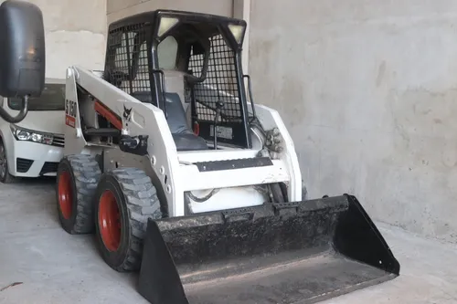 Bobcat