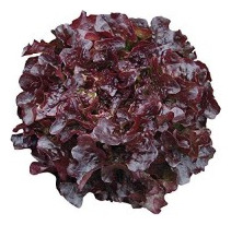 Lechuga Roja 500 Grs