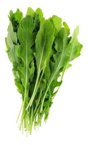 Semillas De Arugula Rucola Rúcula Rúgula 1g Rinde 500 Planta