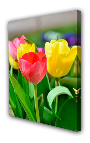Cuadro 20x30cm Tulipan Flores Primavera M4