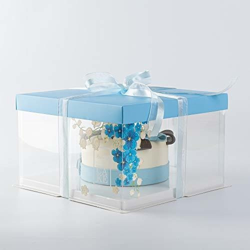 Sweet Vision 10 Inch X 8.25 Inch Transparent Cake Boxes, 10 