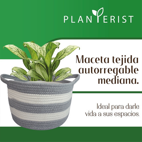 Planterist - Maceta Tejida Autorregable - Mediana Color Santa Catarina