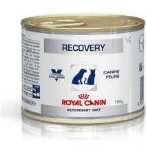 Alimento Para Perro 3p Vd Recovery Wet Royal Canin Veterinar