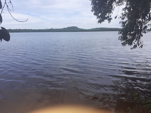 Imagem 2 de 4 de Linda Fazenda Para Venda Na Região De Miguelopolis-sp / Agua Comprida-mg, Com 130 Hectares Sendo 128 Hectares Em Soja, Margens Rio Grande - Fa00255 - 69529409