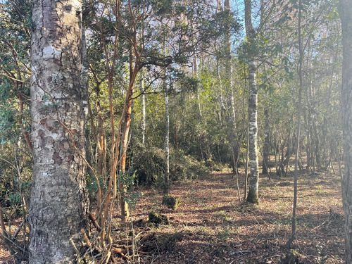 Parcela En Pucon, Molco Alto, Comercial O Residencial