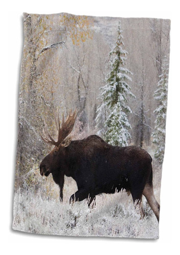 3d Rose Shiras Bull Moose-toalla De De Nieve De Otoño...