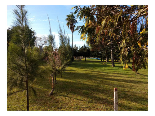 Imagen 6 de 27 de Campo Venta 3 Cabañas Pileta, Laguna, Cancha De Fútbol, Arbolada -1.8 Hectáreas - Magdalena