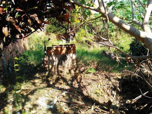 Imagem 11 de 15 de Terreno Para Venda Em Rio De Janeiro, Campo Grande - 216_2-785864
