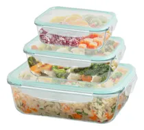 Comprar Set de 3 Tápers Herméticos Contenedores de Vidrio Borosilicato Apto Microondas Horno Freezer y Lavavajillas Marca Filula DFF-1005 Color Transparente con Silicona Celeste