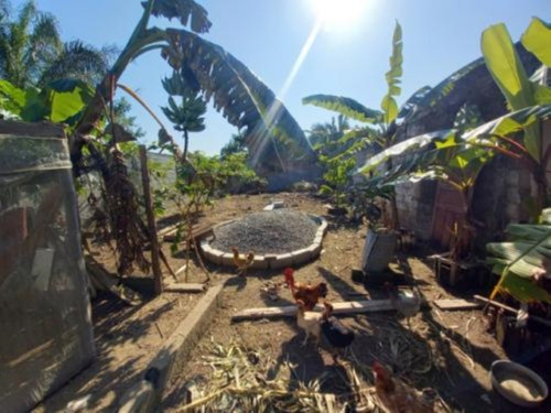 Imagem 13 de 17 de Mini Chácara No Bairro Sítio Velho, Em Itanhaém, Com Ar Condicionado No Quarto, Água Sabesp, Plantações, Galinheiro No Fundo, Analisa Proposta À Vista Ref: 9694/ac