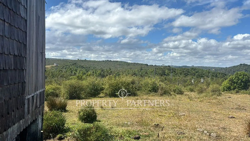 Oportunidad De Inversión, Campo Con 1.700 M De Ori...