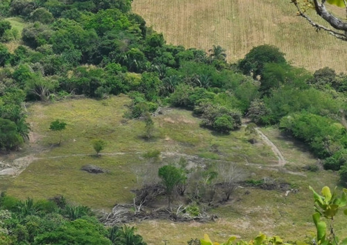 Imagen 18 de 30 de Se Vende Finca Barata Agricola,ganaderia,piscicultura,porcicultura,avicultura,vacacional Para Un Descanso Total Zona Cálida Con Rio Propio Y Tierras Muy Productivas/fértiles Sin Contaminación Ambient.