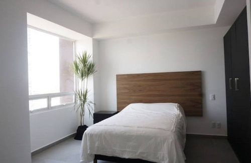 Imagen 7 de 10 de Hermoso Departamento En La Juárez, Cdmx, 1291