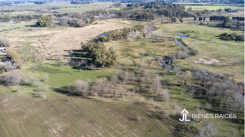 Campo En Venta De Casi 15 Has En Escalada Zarate.