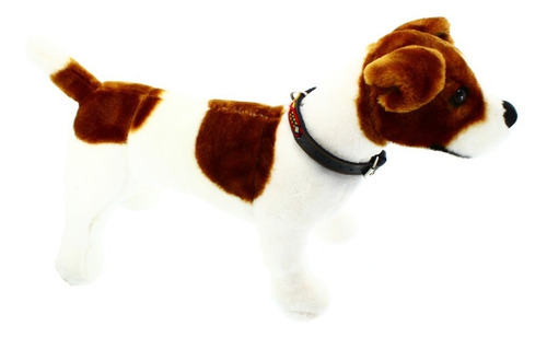 Collar Para Perro 6 Piezas 20cm 40cm 45cm 60cm 65cm