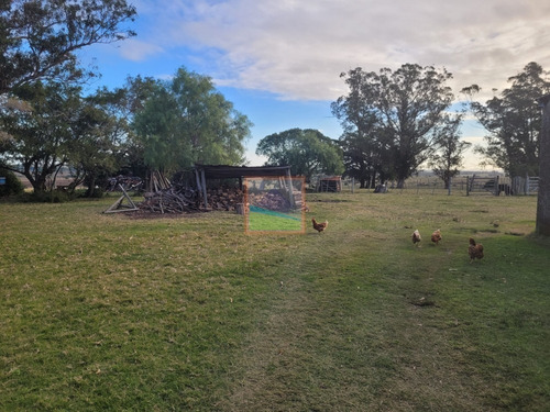 Imagen 3 de 26 de Campo De 34 Hás Con Casa Ruta 12 Pueblo Edén