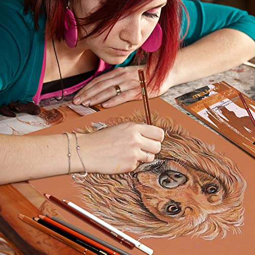 Juego De Dibujo De Lápices De Carbón Profesional: 12 ...