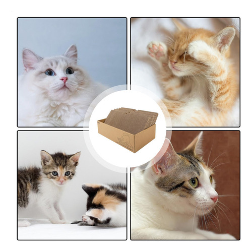 Rascadores Para Gatos De Interior Juguete Rascador De Dibujo