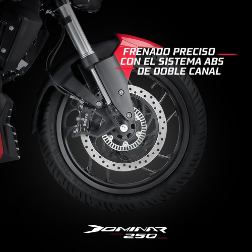 Imagen 12 de 19 de Bajaj Dominar 250 Abs 0km Naked Fi Nuevo Modelo Chakan