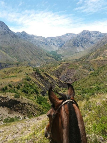 Forestal En Venta En Colbún