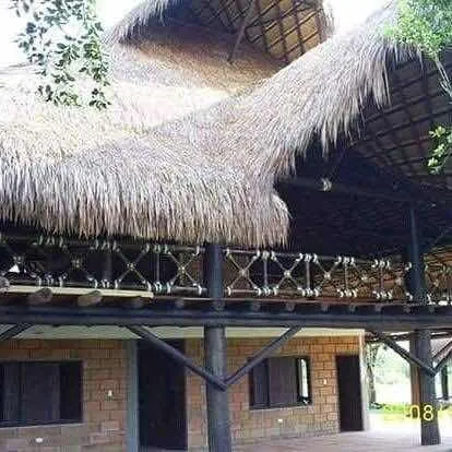 Palma Amarga Kioscos Maloca Fincas Islas Playa Vendi Aguja