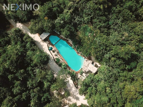 Imagen 4 de 13 de Terreno En Venta Ubicado En Leona Vicario, Puerto Morelos, Quintana Roo