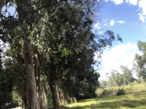 Lote Esquinero 1229 Metros Cobre Camino Eguzquiza En Venta En El Tesoro
