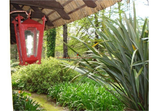 Casa En Venta Y Alquiler Zona Golf, Punta Del Este, 4 Dormitorios- Ref: 2824