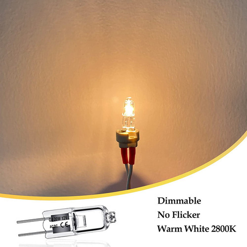 I Kit De 60 Lámparas Halógenas G4 A De 20 W Y 12 V