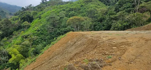 Venta De Lote En Santa Bárbara Vereda Pitayó Lote No. 2a