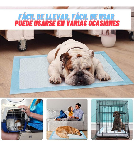 Tapete Entrenador Para Mascotas Con Atrayente 50 Pzs