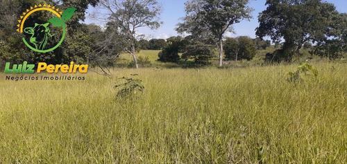 Imagem 13 de 13 de Fazenda À Venda Em Peixe - To - De 2.260 Hectares (dupla Aptidão) - 1856