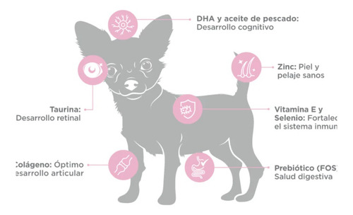 Paquete Nupec Cachorro Raza Mini 3kg + Jabón Sedozoo Herbal