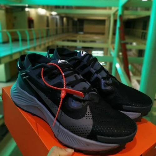 Zapatos Nike Pegasus Trail 2 Caballeros