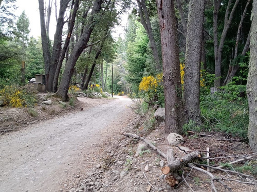 Terreno En Venta En Villa Traful Con Arboles Añejos