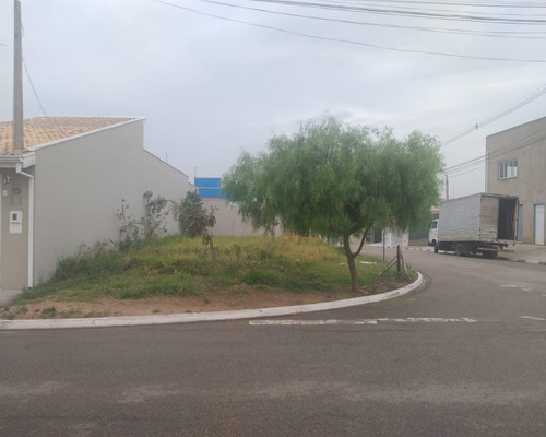 Imagem 4 de 5 de Terreno Comercial - Te01068 - 68688321