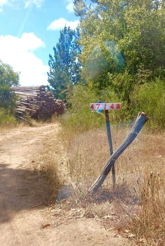 Imagen 3 de 3 de Hermosa Parcela A Orilla De Camino Rol Propio.