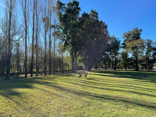 Quinta En Esperanza