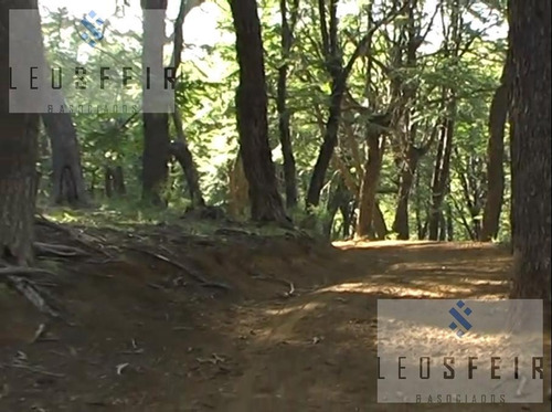 Imagen 16 de 29 de Campo - Alumine