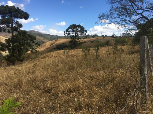 Imagem 2 de 24 de Chácara À Venda, 2800 M² Por R$ 80.000 - Zona Rural - Caldas/mg - Ch0126