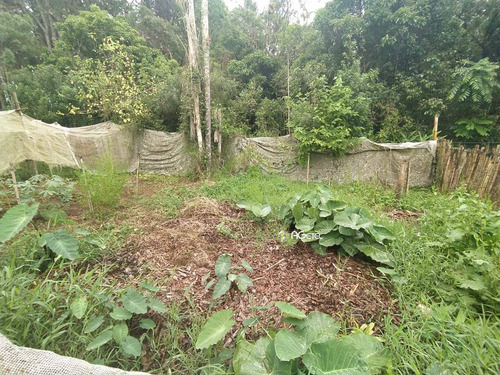 Imagem 7 de 27 de Chácara Com 4 Dorms, Recanto Do Tesouro, Embu-guaçu - R$ 220 Mil, Cod: 2328 - V2328